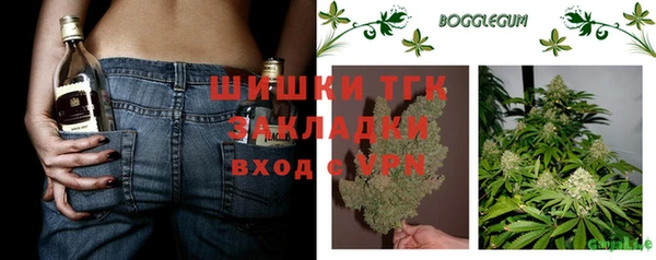Альфа ПВП Аркадак