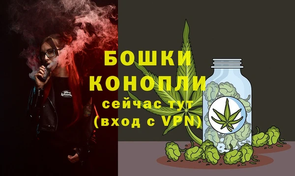 Альфа ПВП Аркадак
