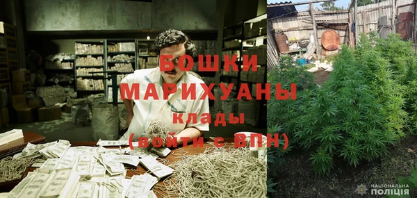 Альфа ПВП Аркадак